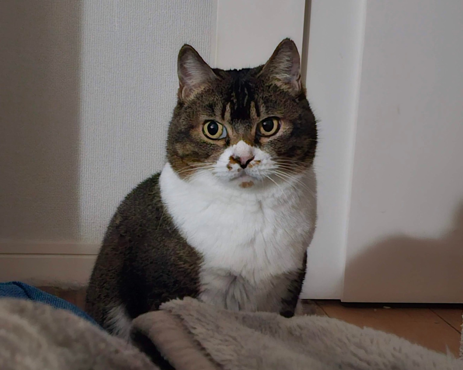 レモン